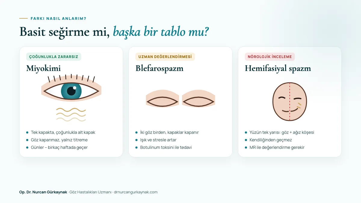 Basit göz seğirmesi, blefarospazm ve hemifasiyal spazm arasındaki farkların görsel karşılaştırması